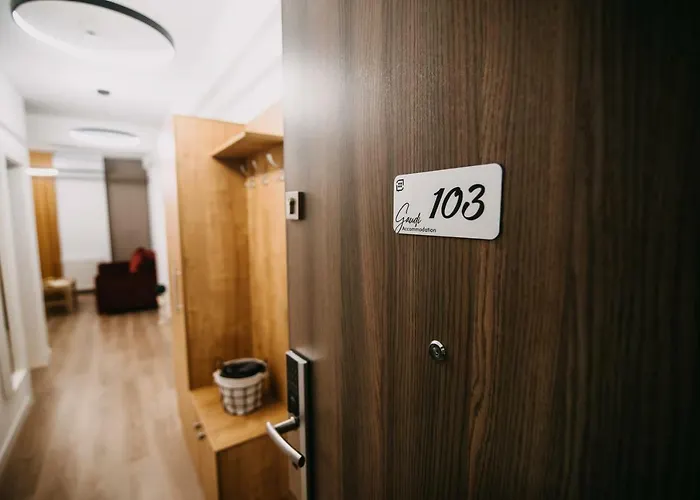 Gaudi Клуж-Напока